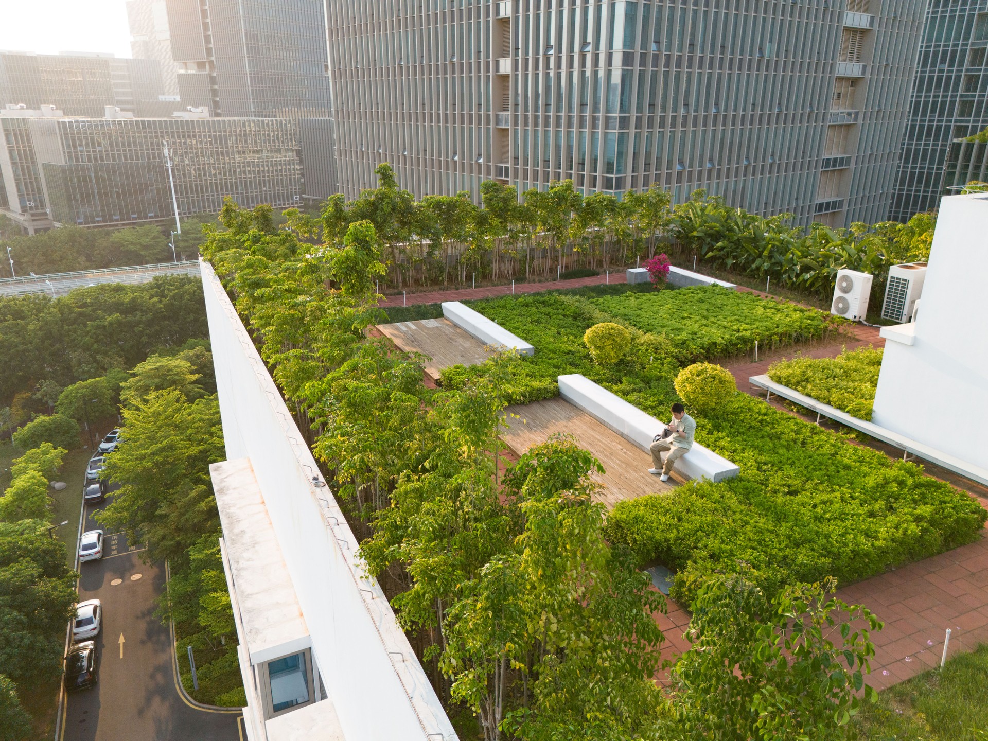 Roof garden, sustainable living